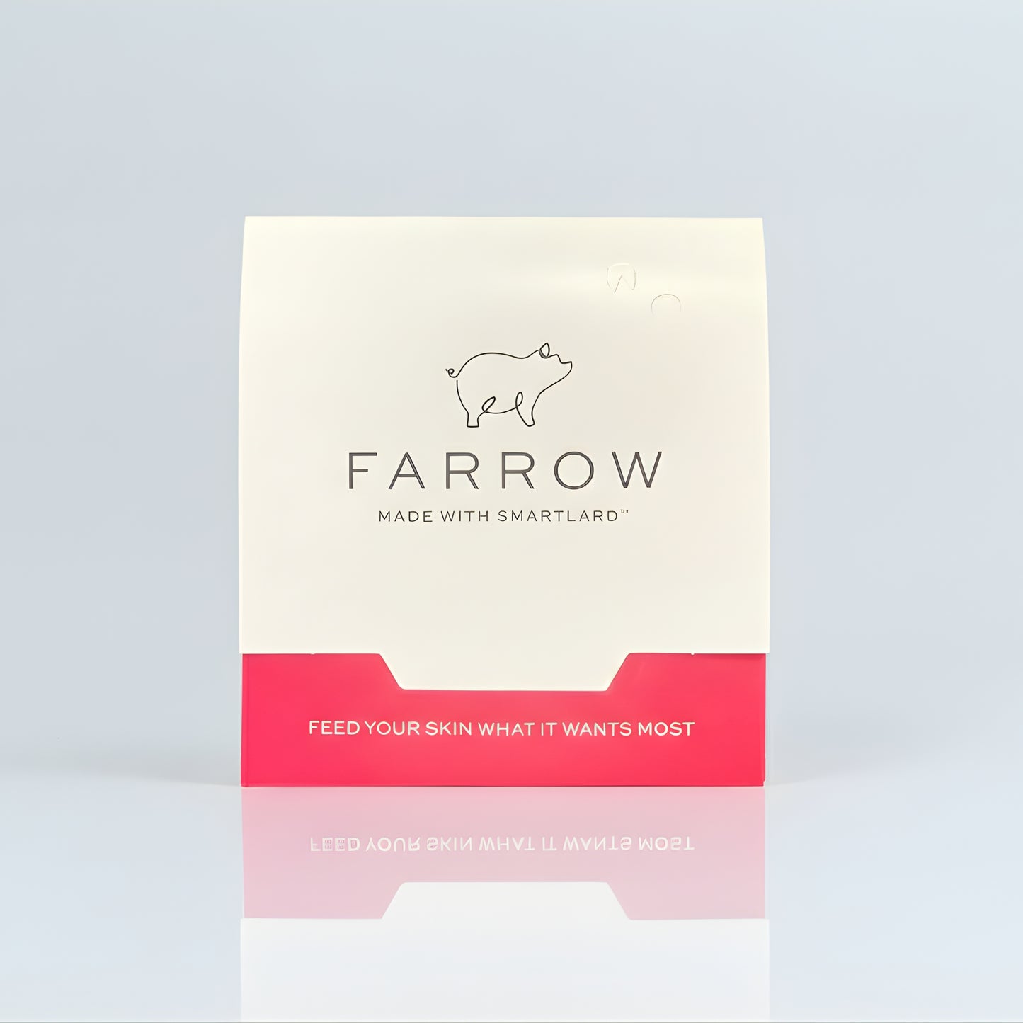 SkinFood Sample Sachet