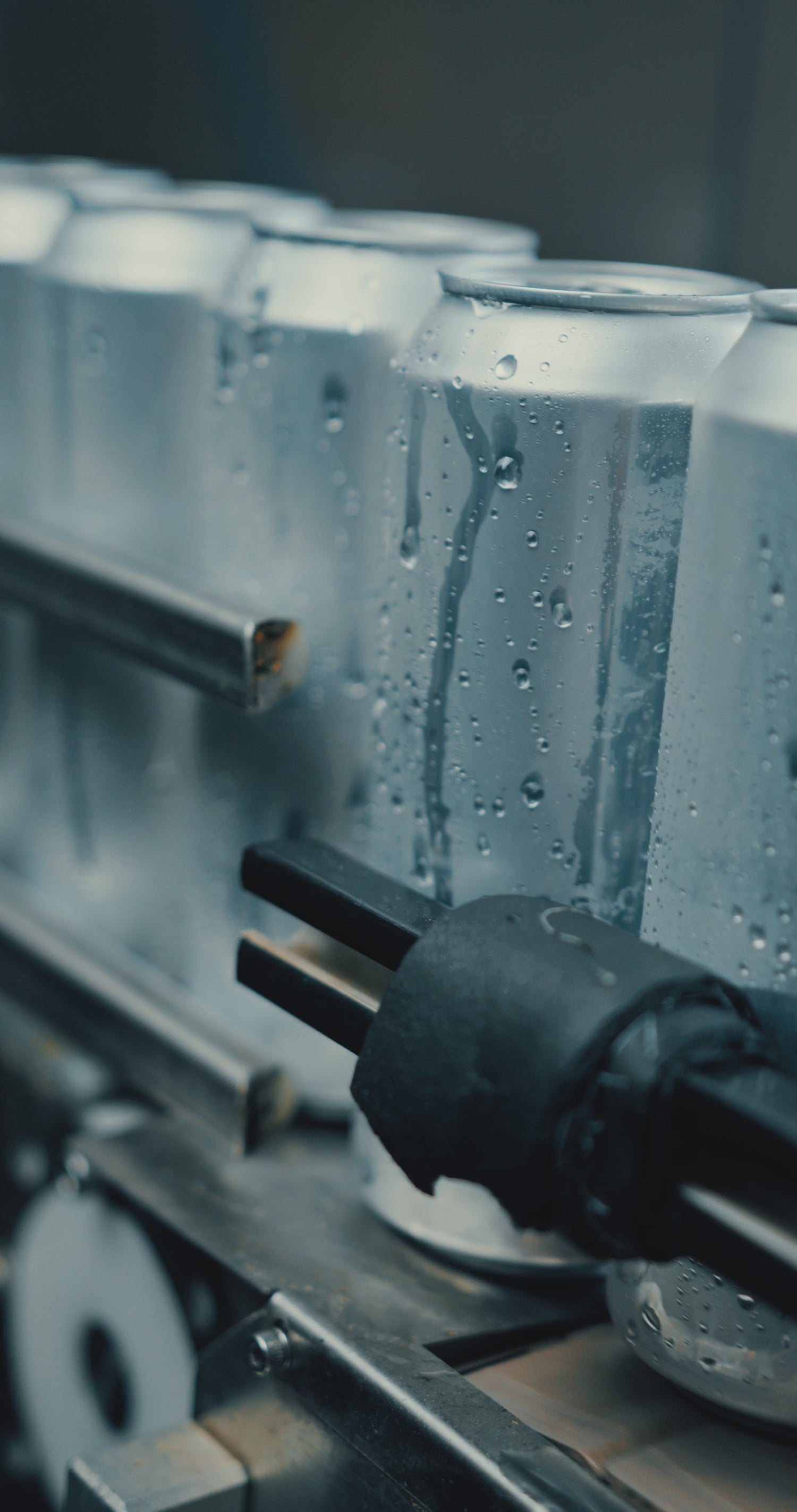 Load video: This is a video